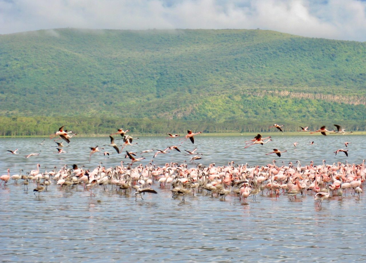 Lake Nakuru Wallpapers