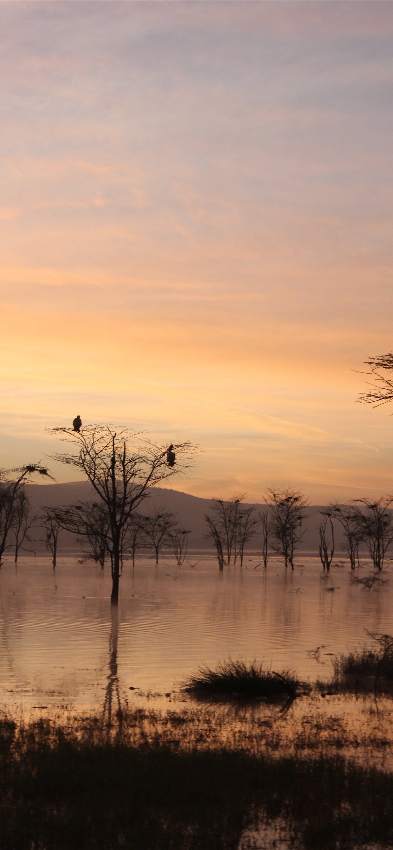 Lake Nakuru Wallpapers