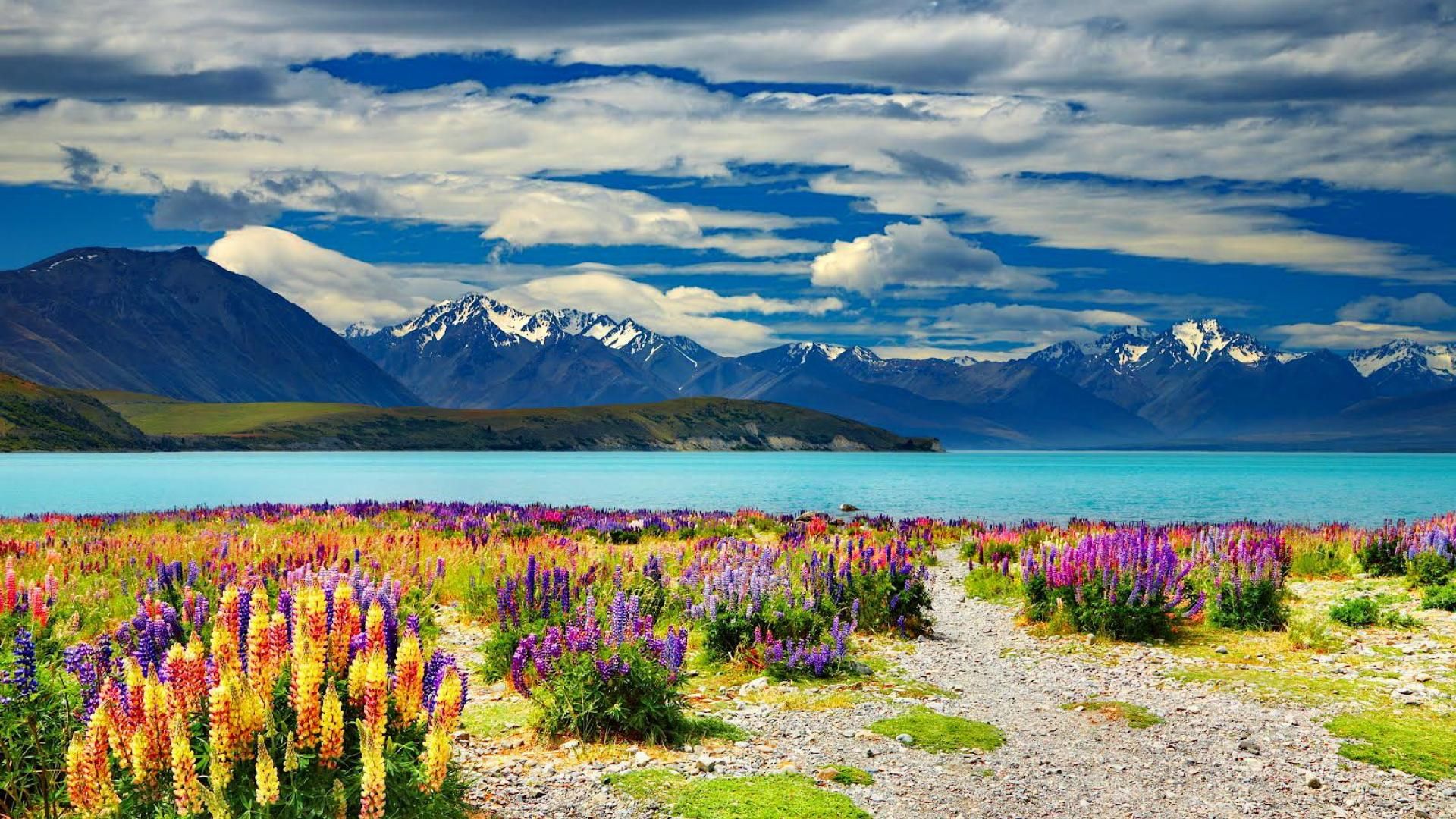 Lake Tekapo New Zealand Wallpapers