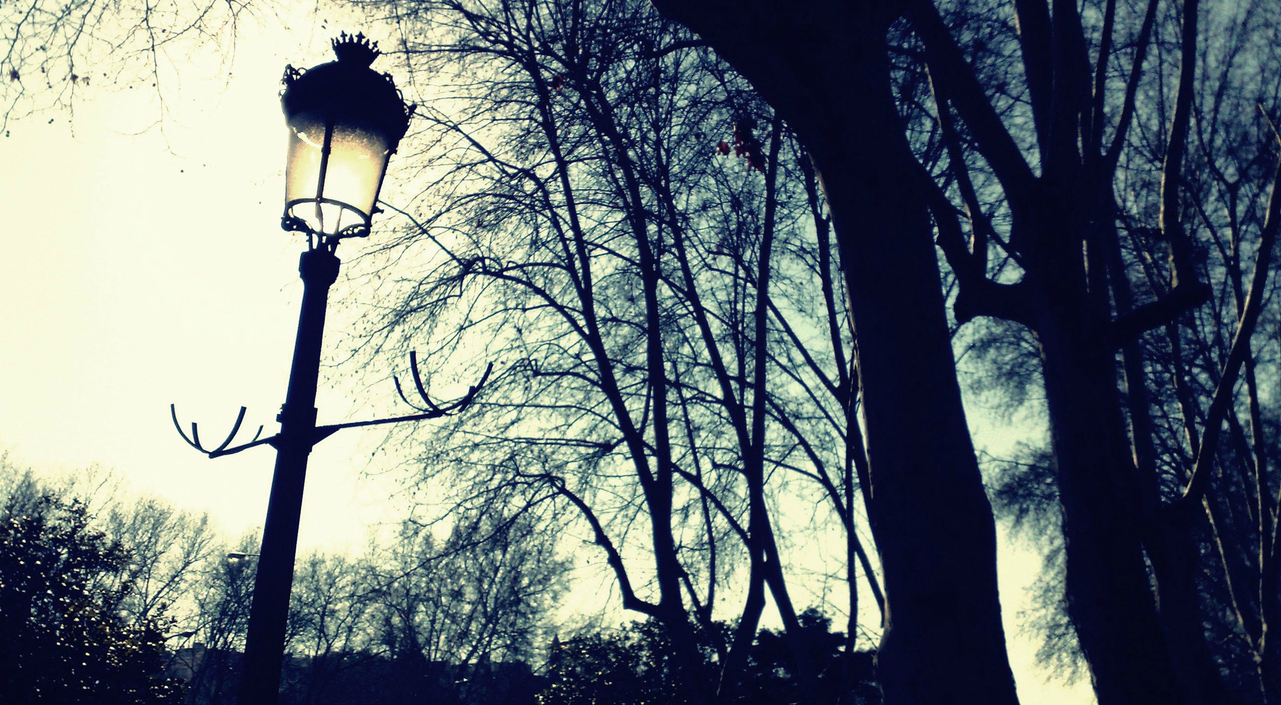 Lamp Post Wallpapers