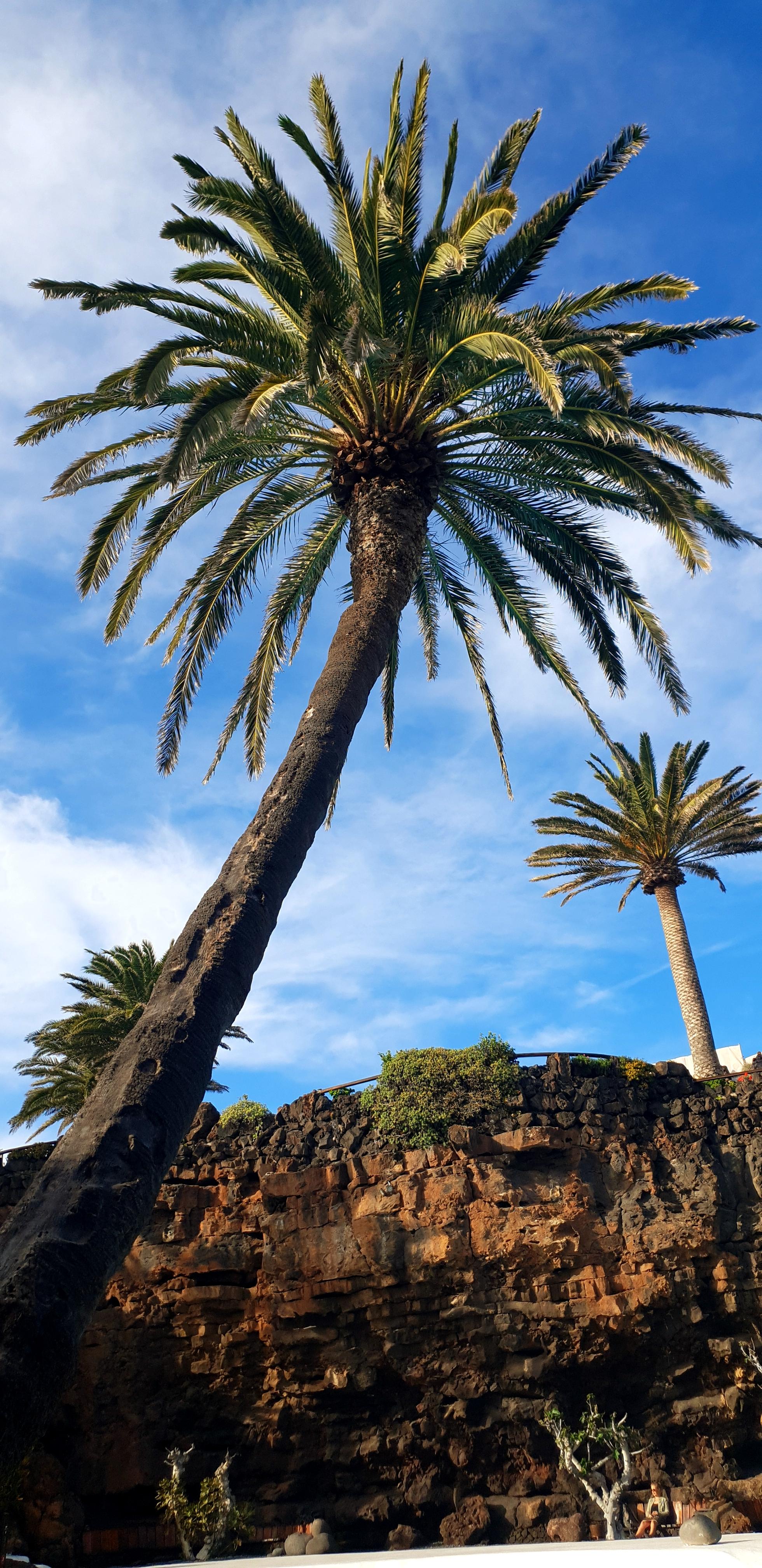 Lanzarote Wallpapers