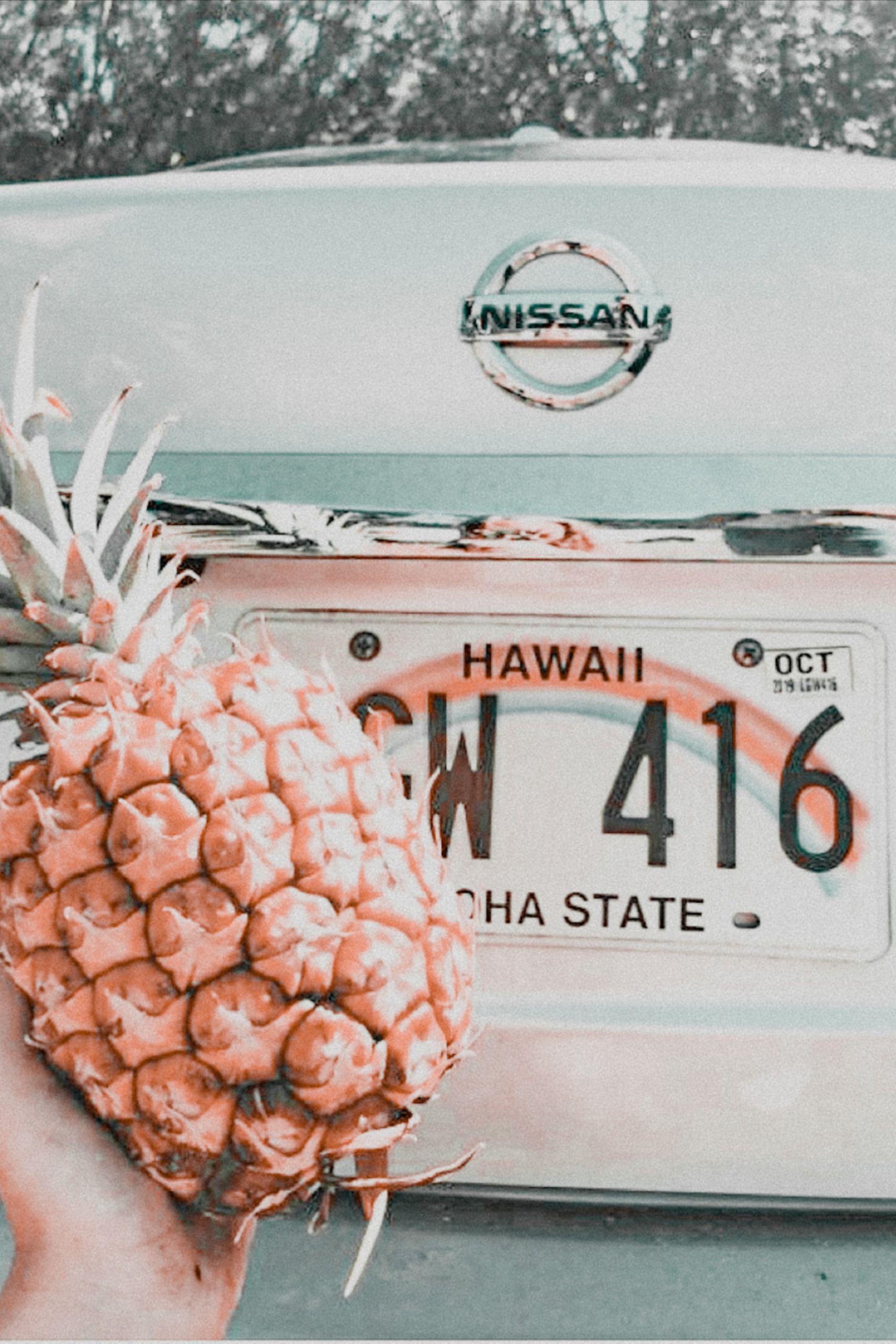 License Plate Wallpapers