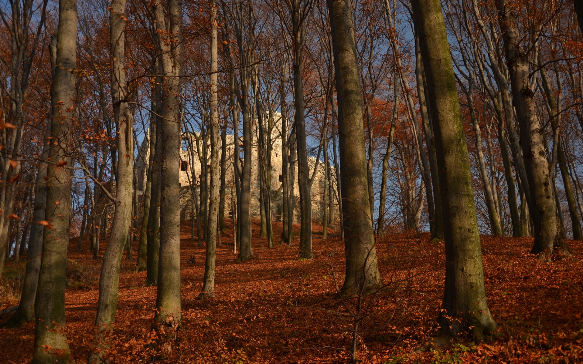 Lipowiec Castle Wallpapers