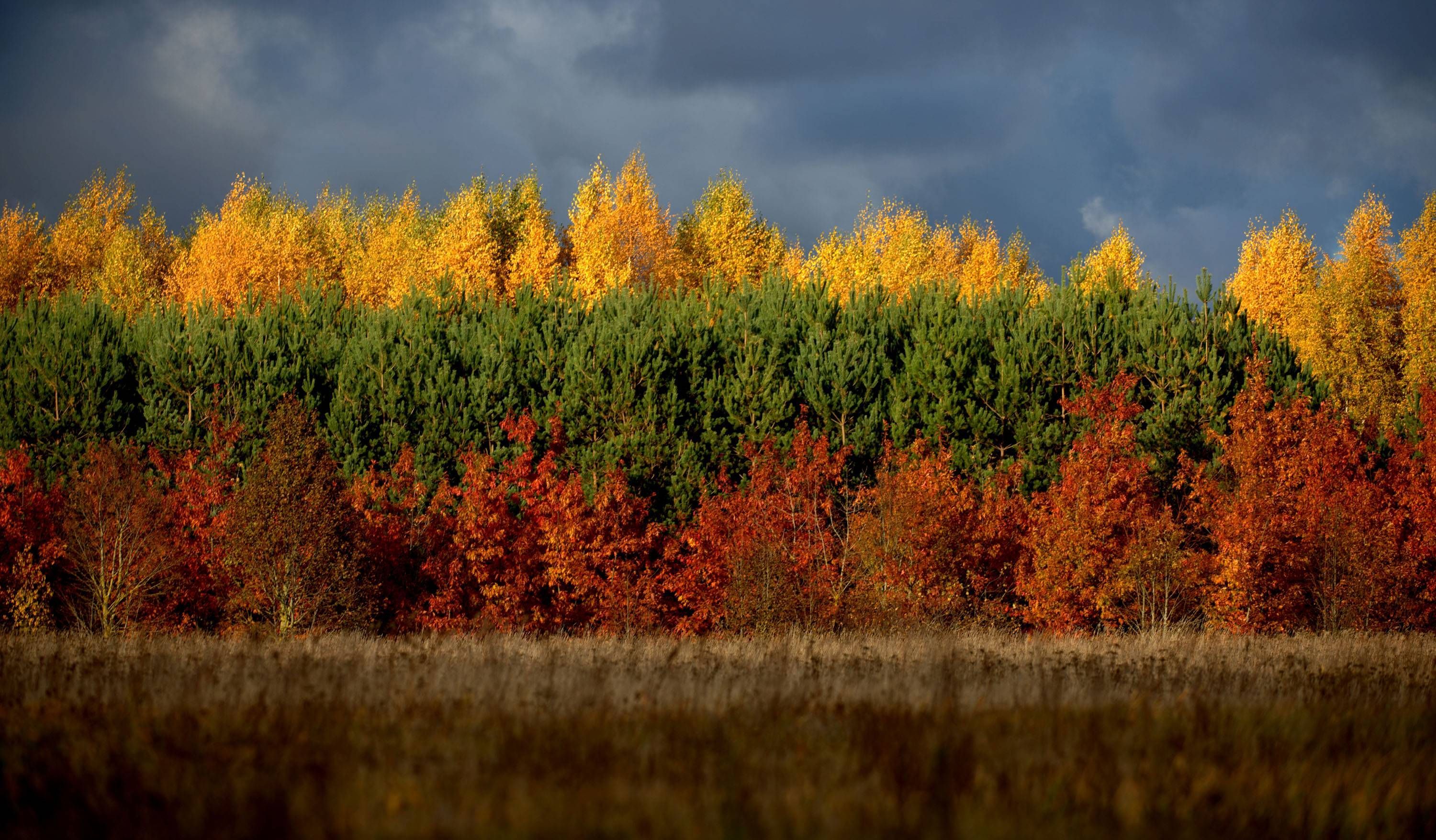 Lithuania Flag Wallpapers