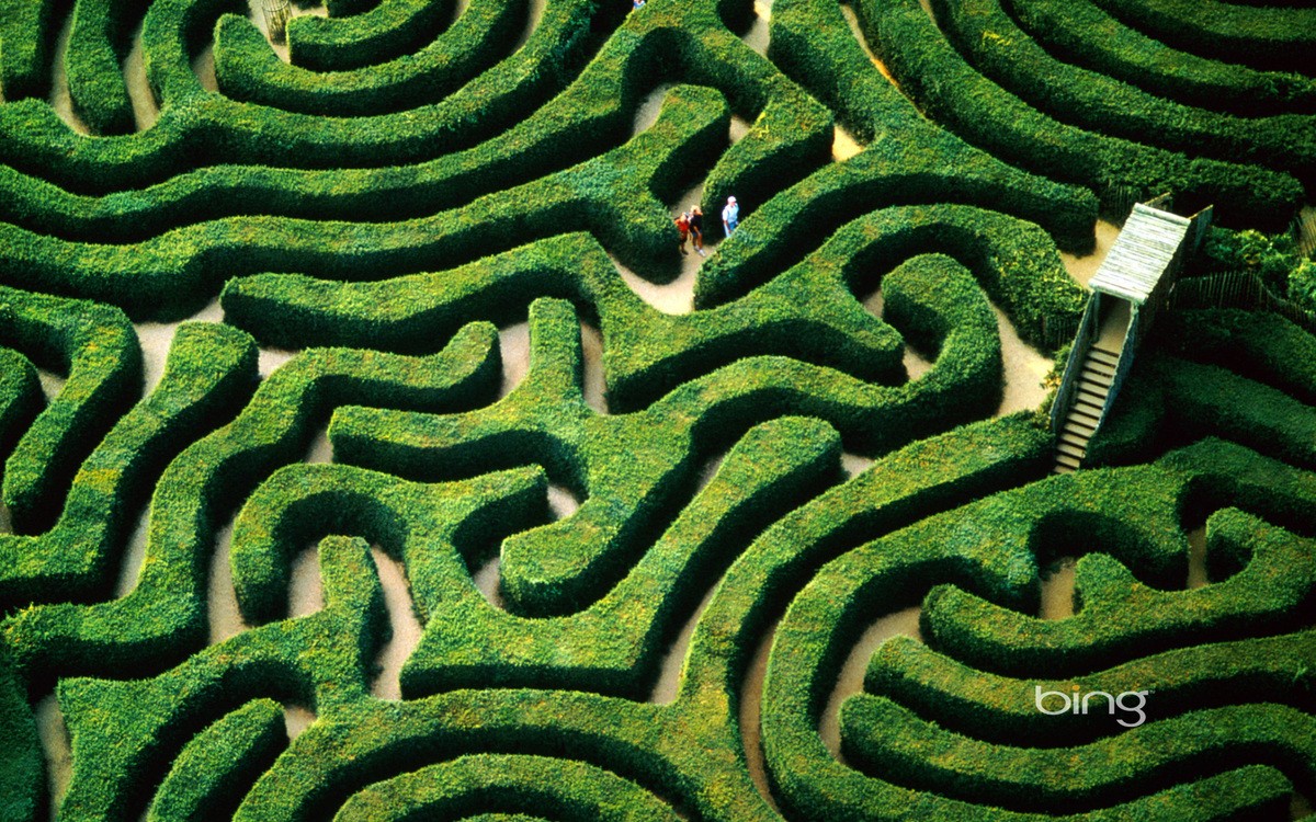 Longleat Maze Wallpapers