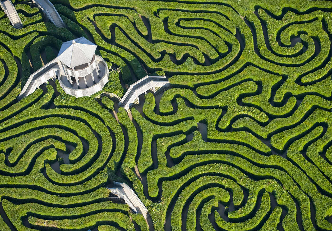 Longleat Maze Wallpapers