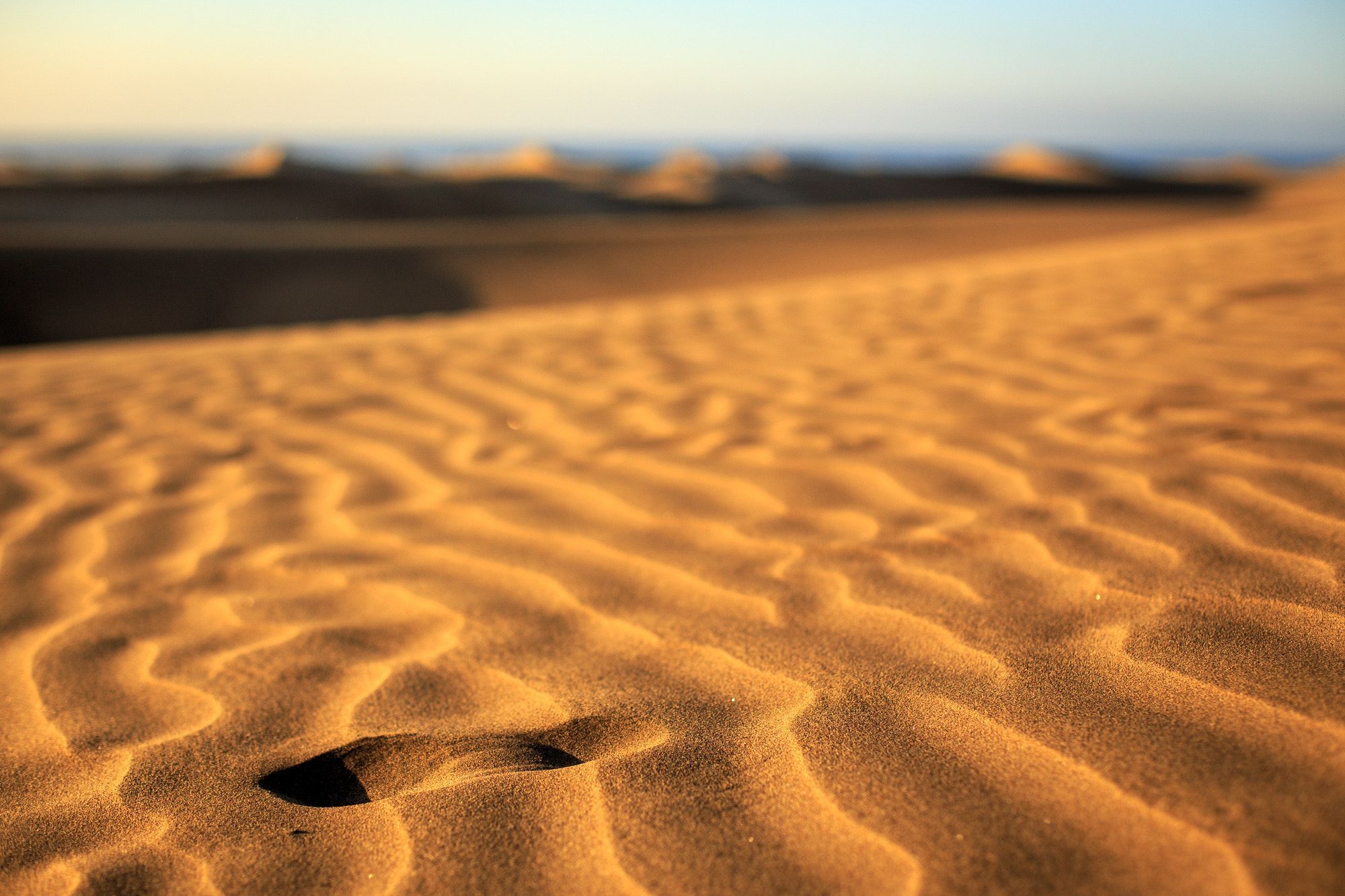 Maspalomas Dunes Wallpapers