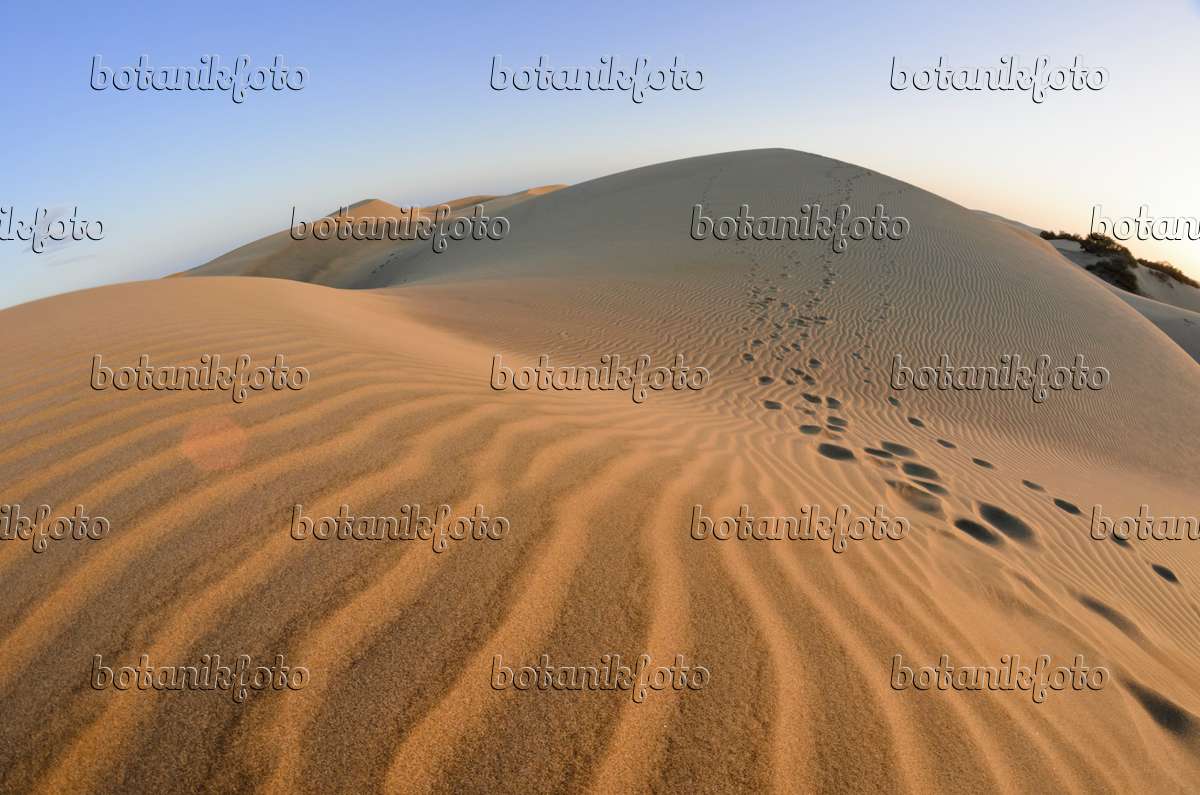 Maspalomas Dunes Wallpapers