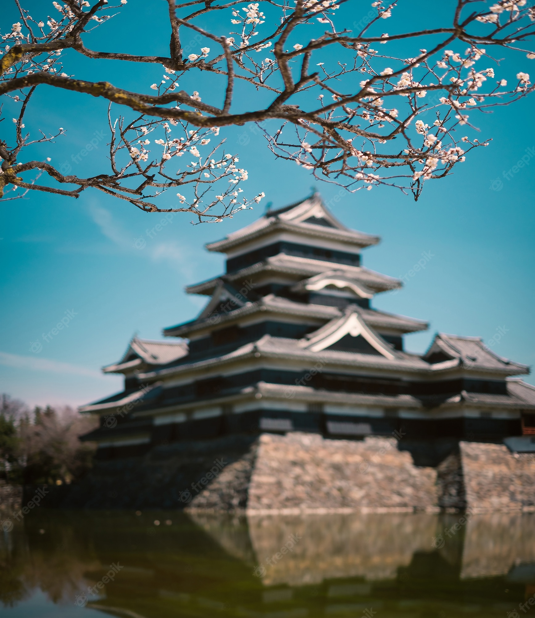 Matsumoto Castle Wallpapers