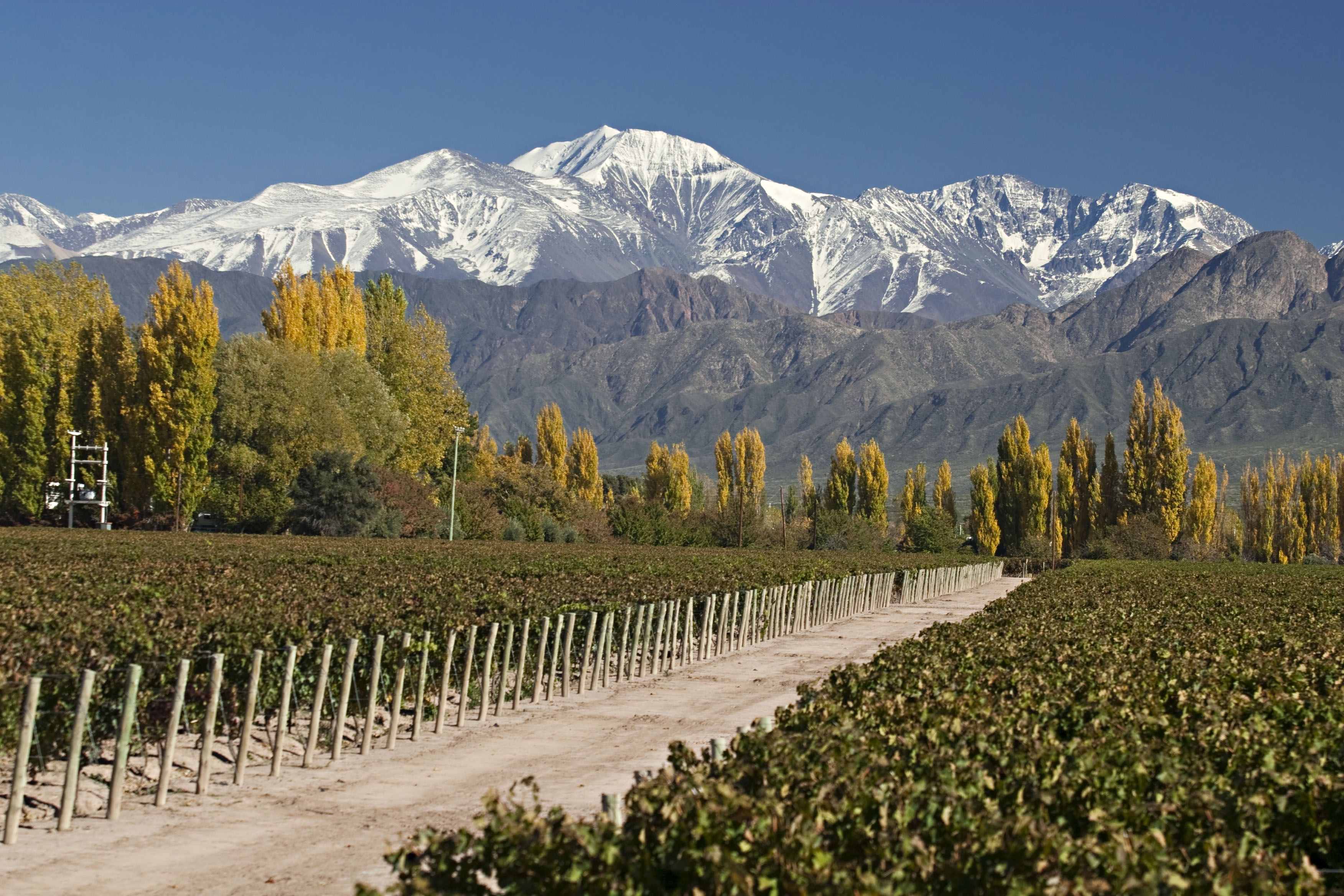 Mendoza Castle Wallpapers