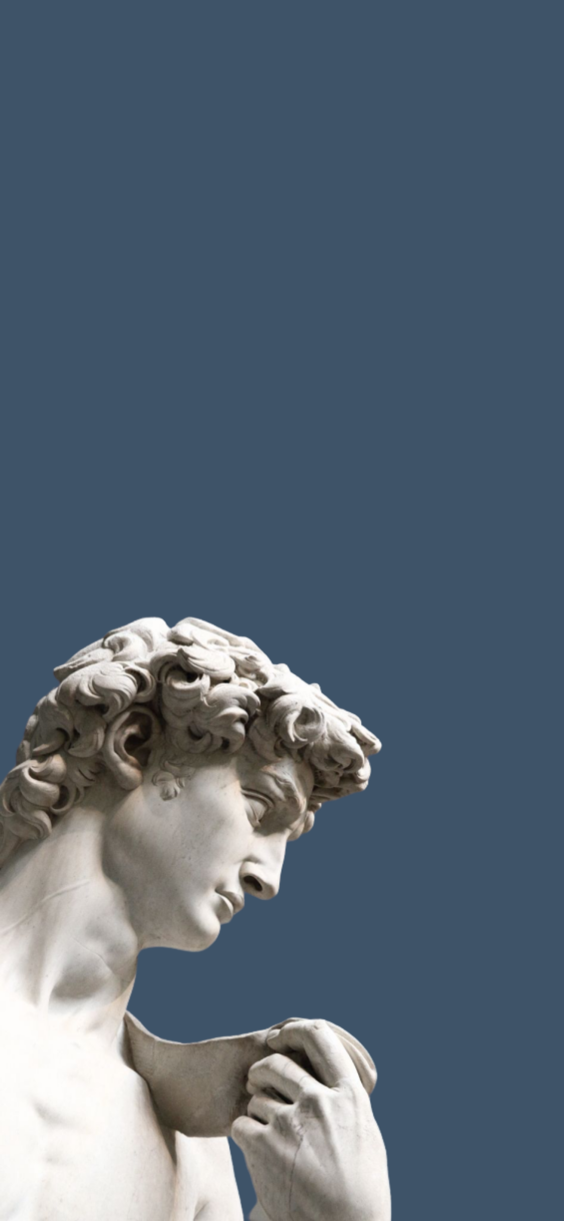 Michelangelo'S David Wallpapers