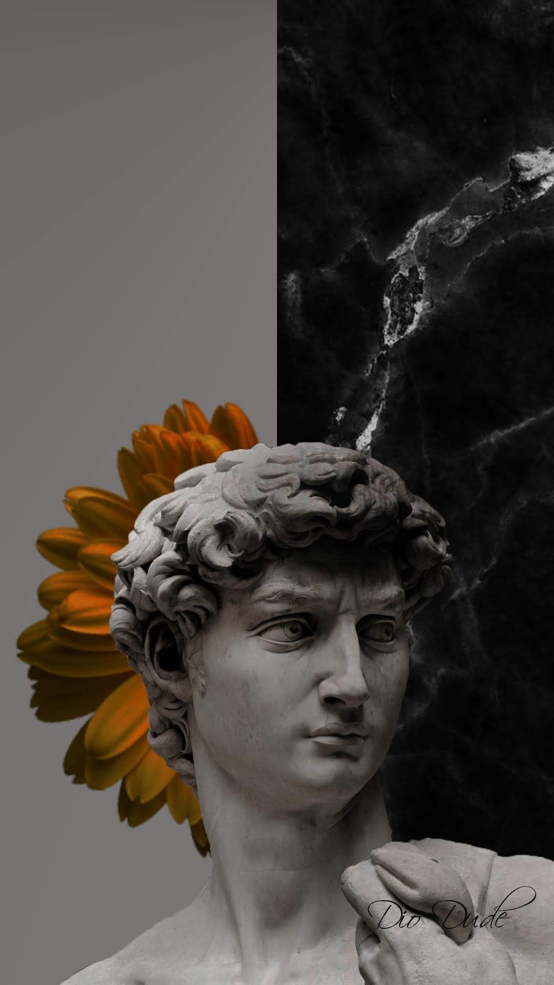 Michelangelo'S David Wallpapers