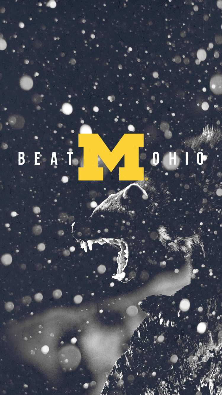 Michigan Wallpapers