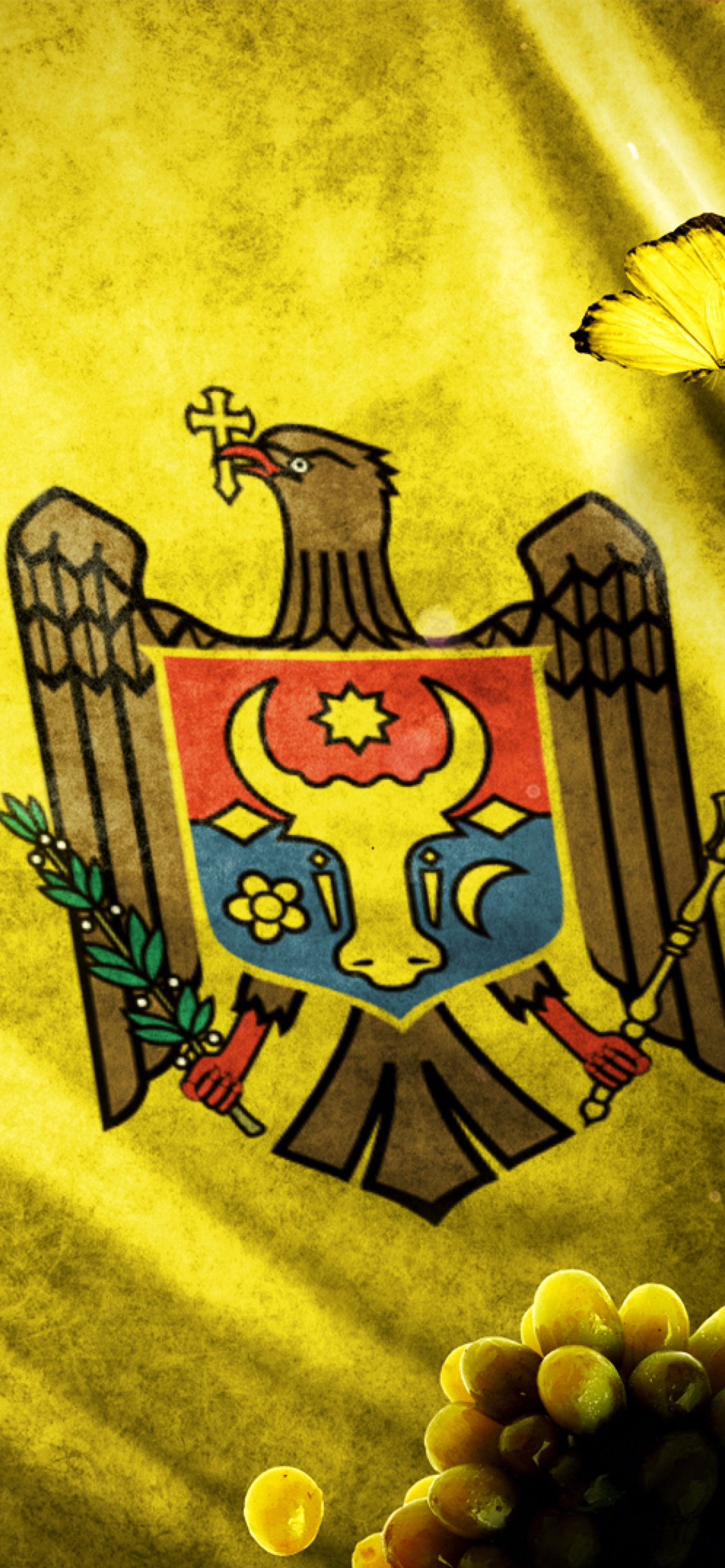 Moldova Flag Wallpapers
