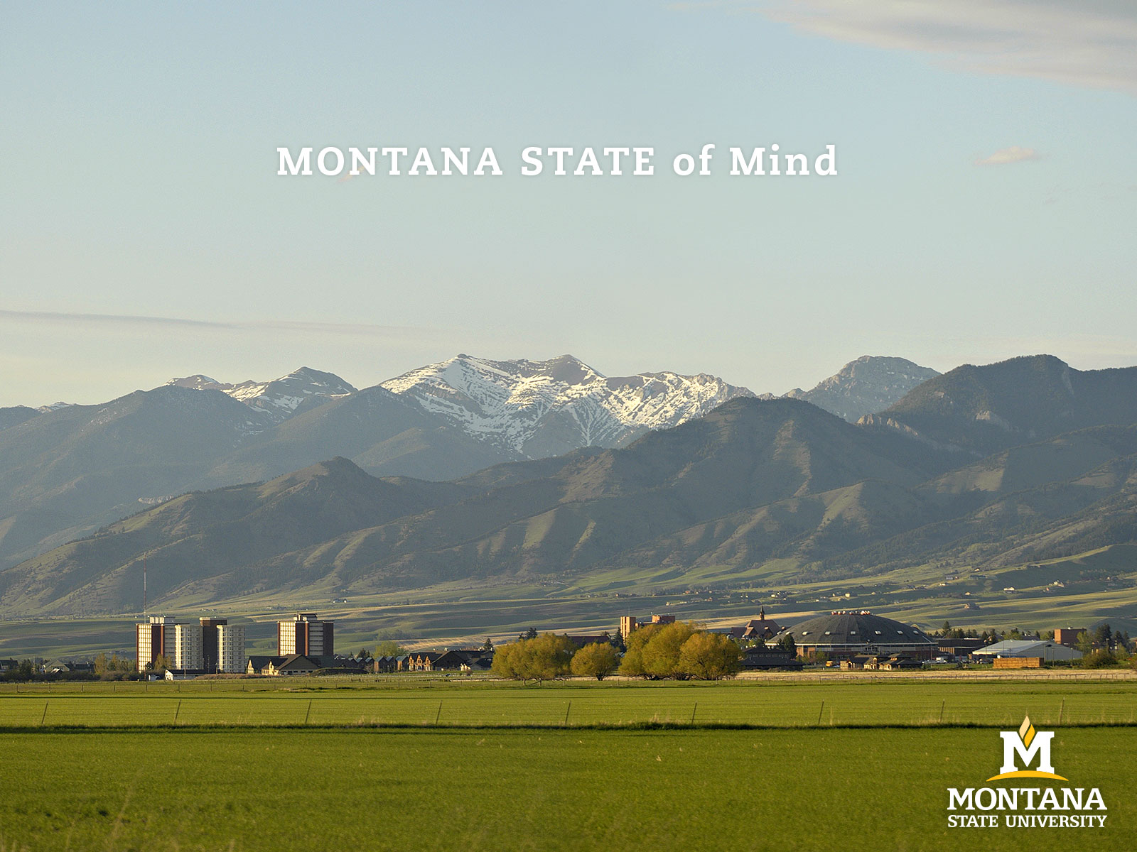 Montana State Wallpapers