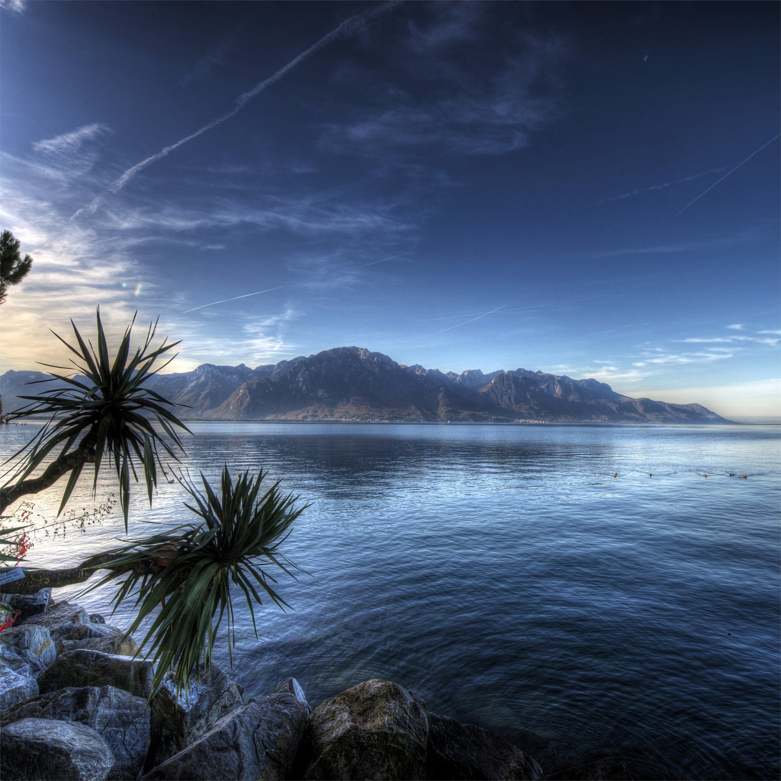 Montreux Wallpapers