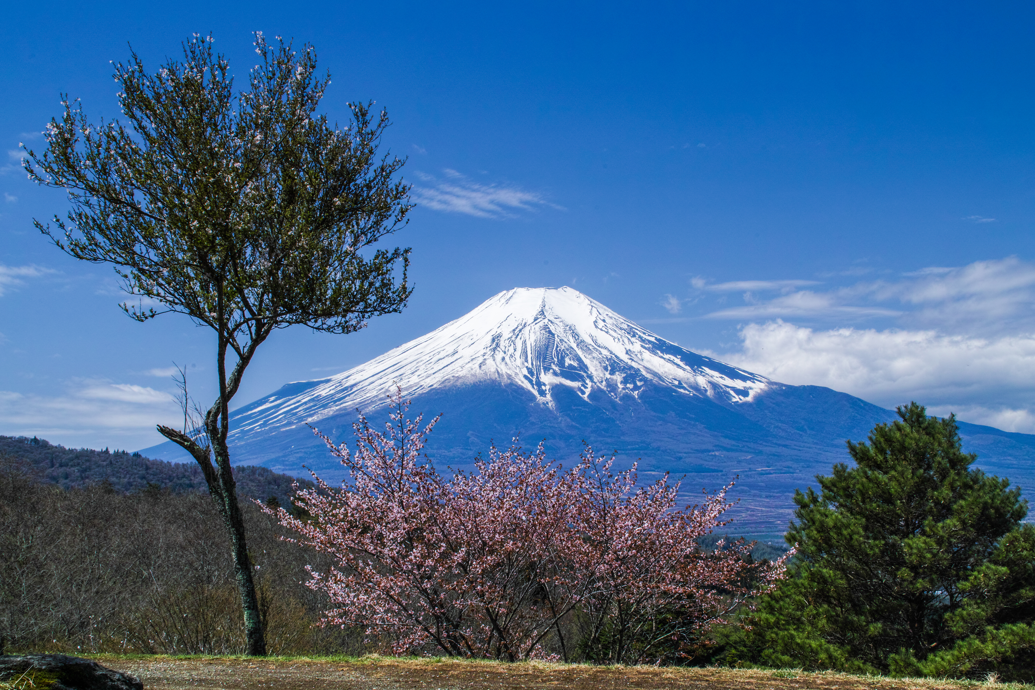 Mount Fuji Japan Wallpapers