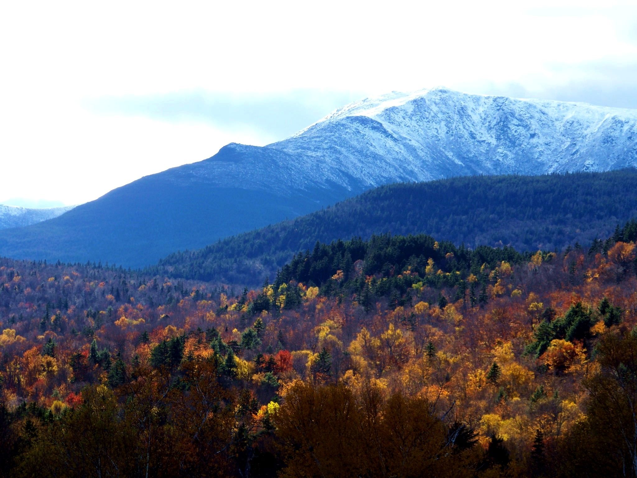 Mount Washington Hotel Wallpapers