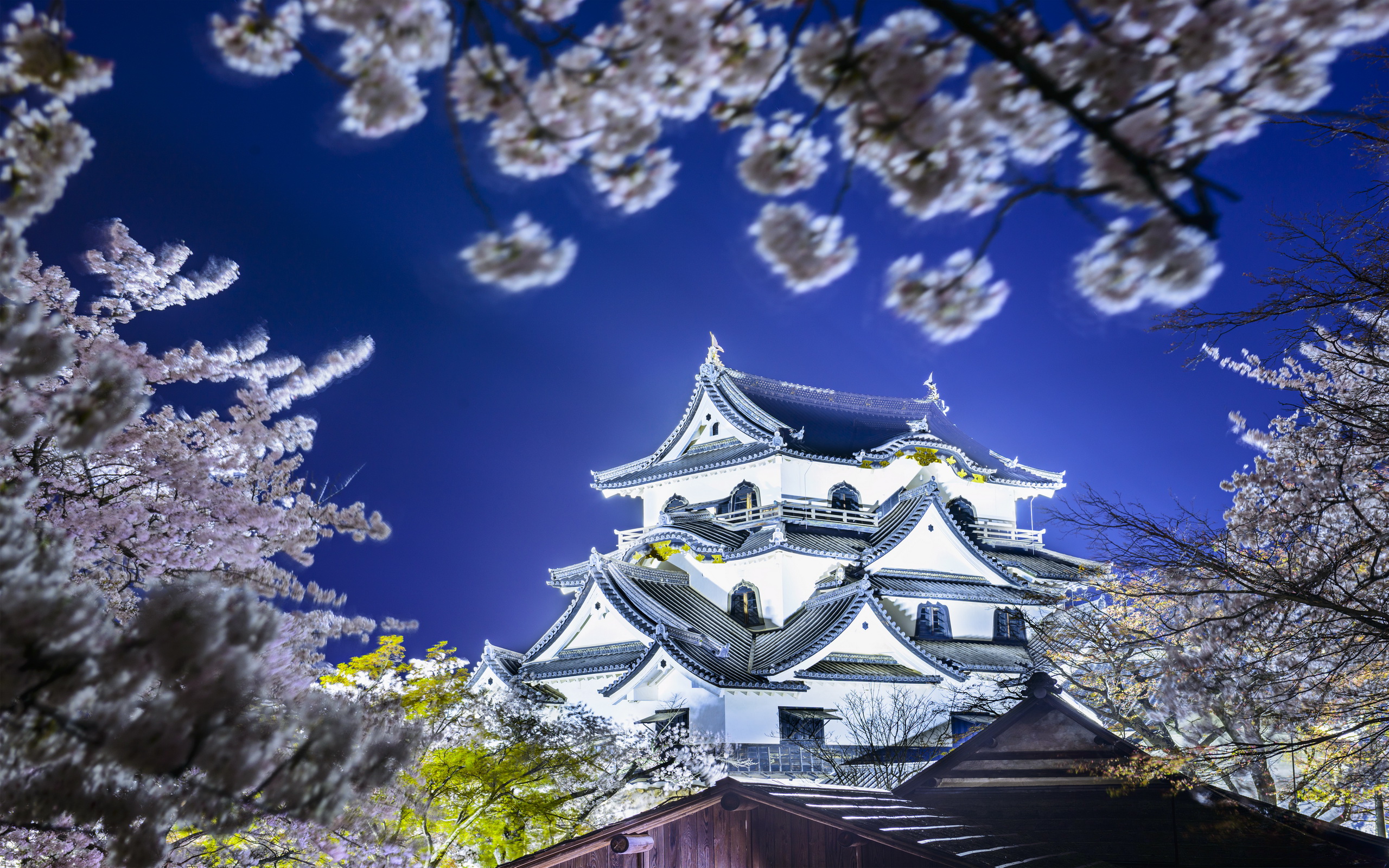 Nagahama Castle Wallpapers