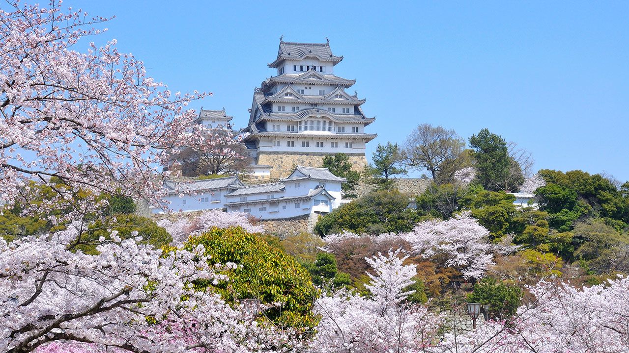 Nagahama Castle Wallpapers