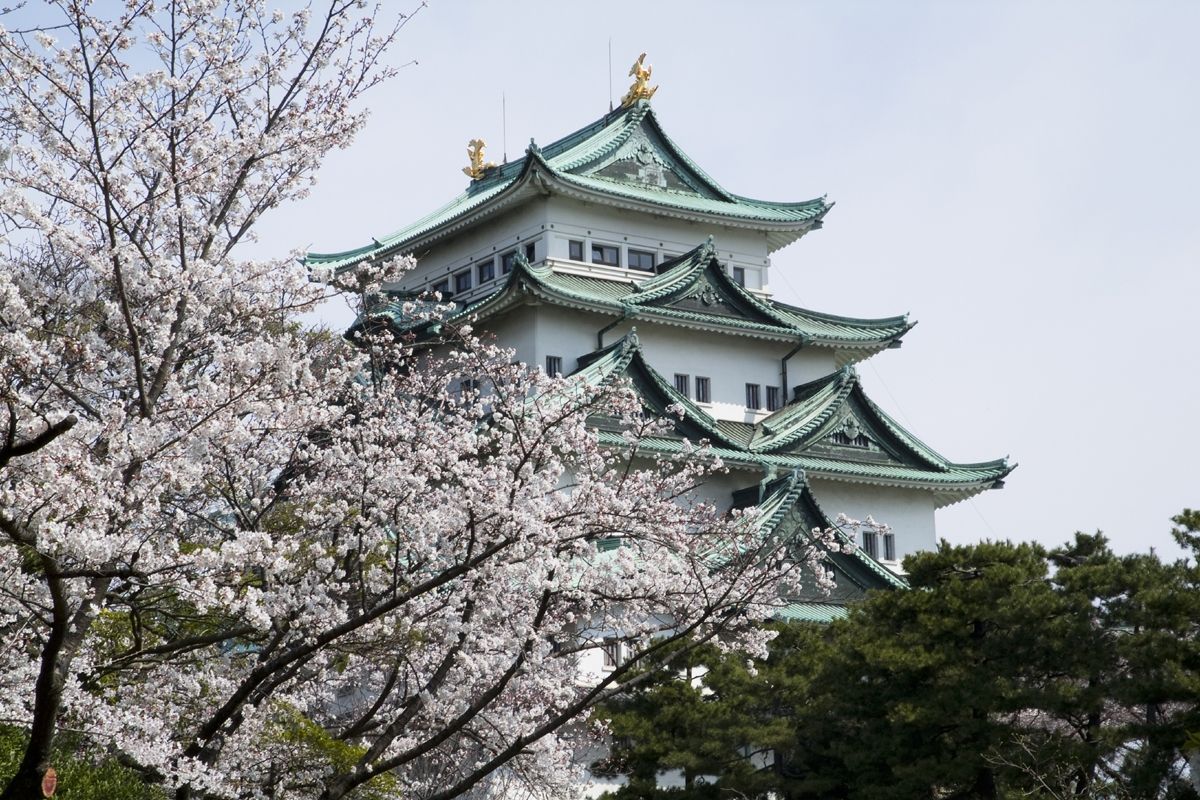 Nagoya Castle Wallpapers