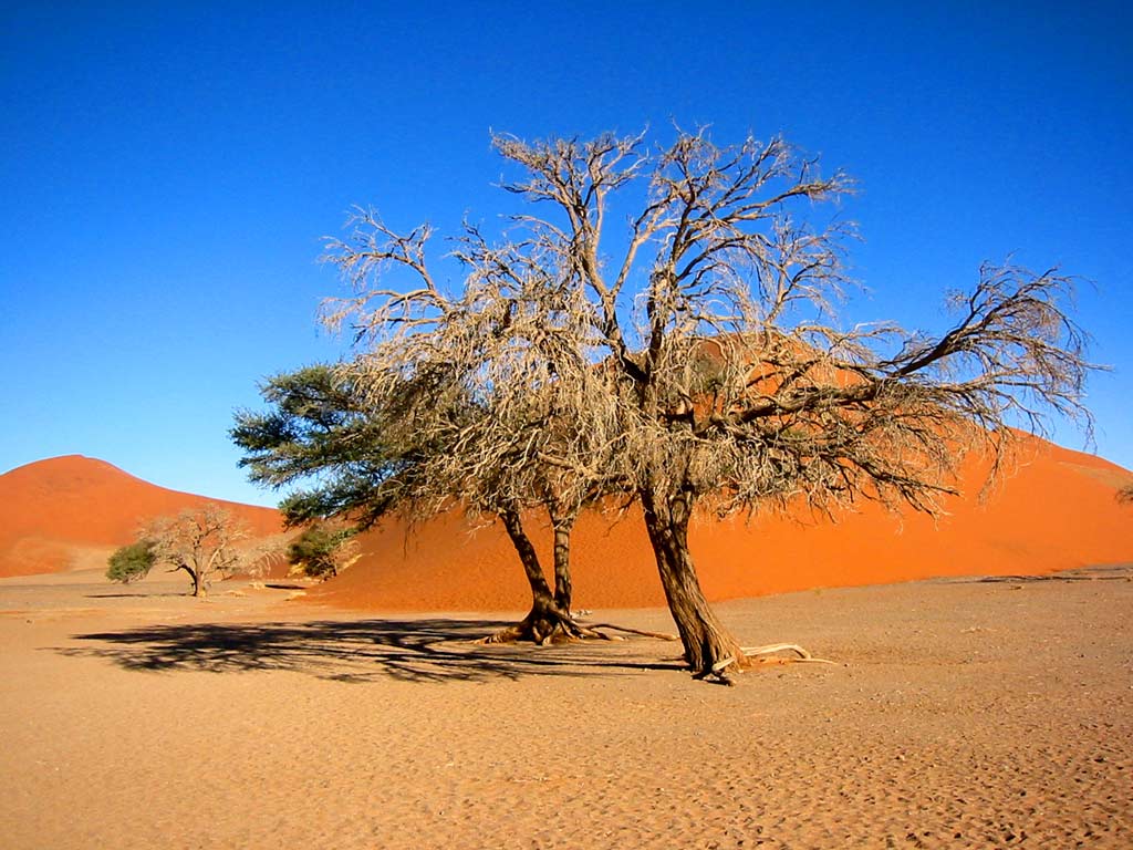 Namibia Wallpapers