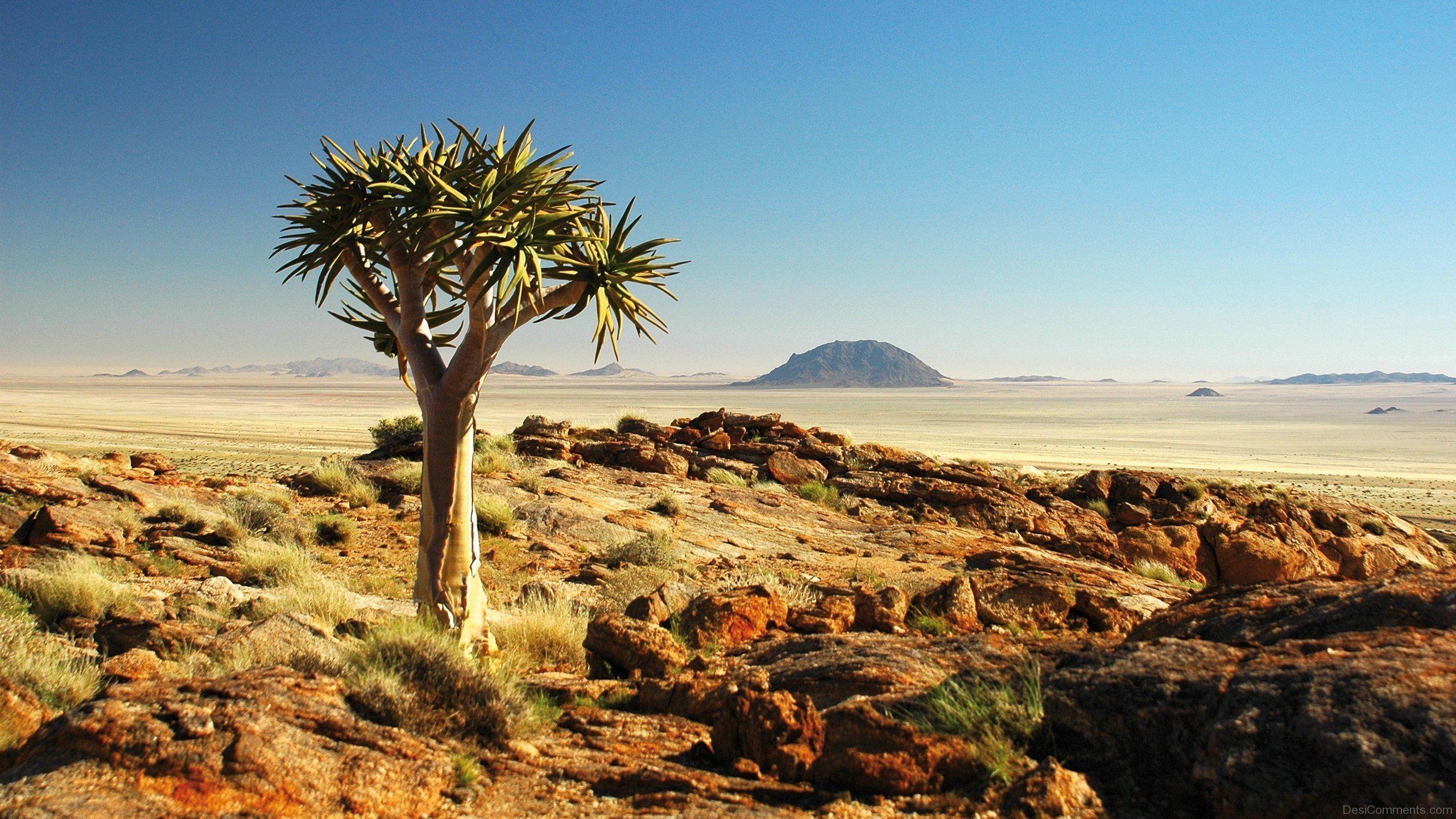 Namibia Wallpapers