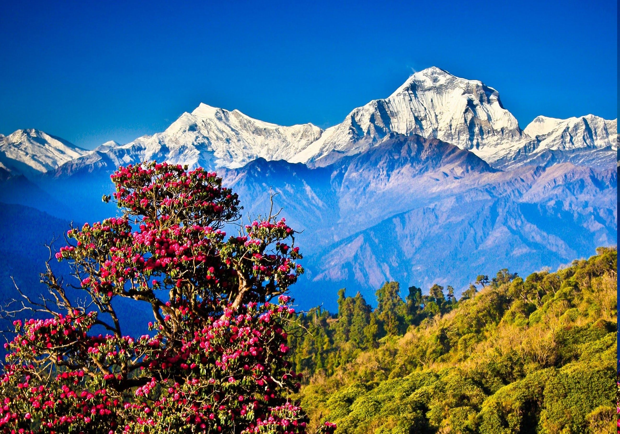 Nepal Wallpapers