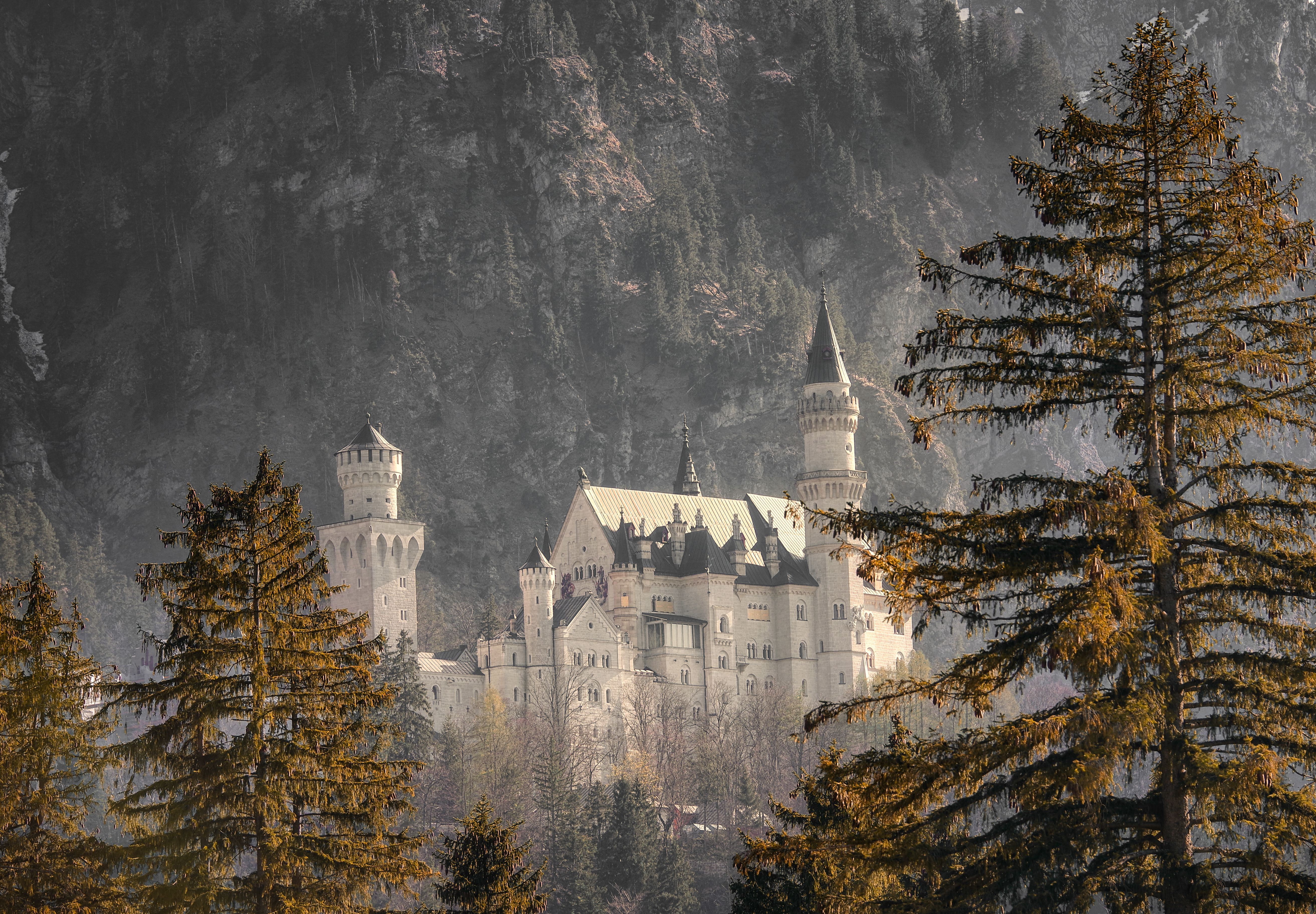 Neuschwanstein Castle In Winter Wallpapers