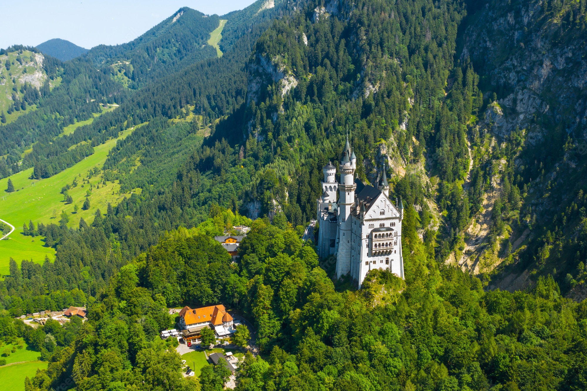 Neuschwanstein Castle Mountains And Forest Germany Wallpapers