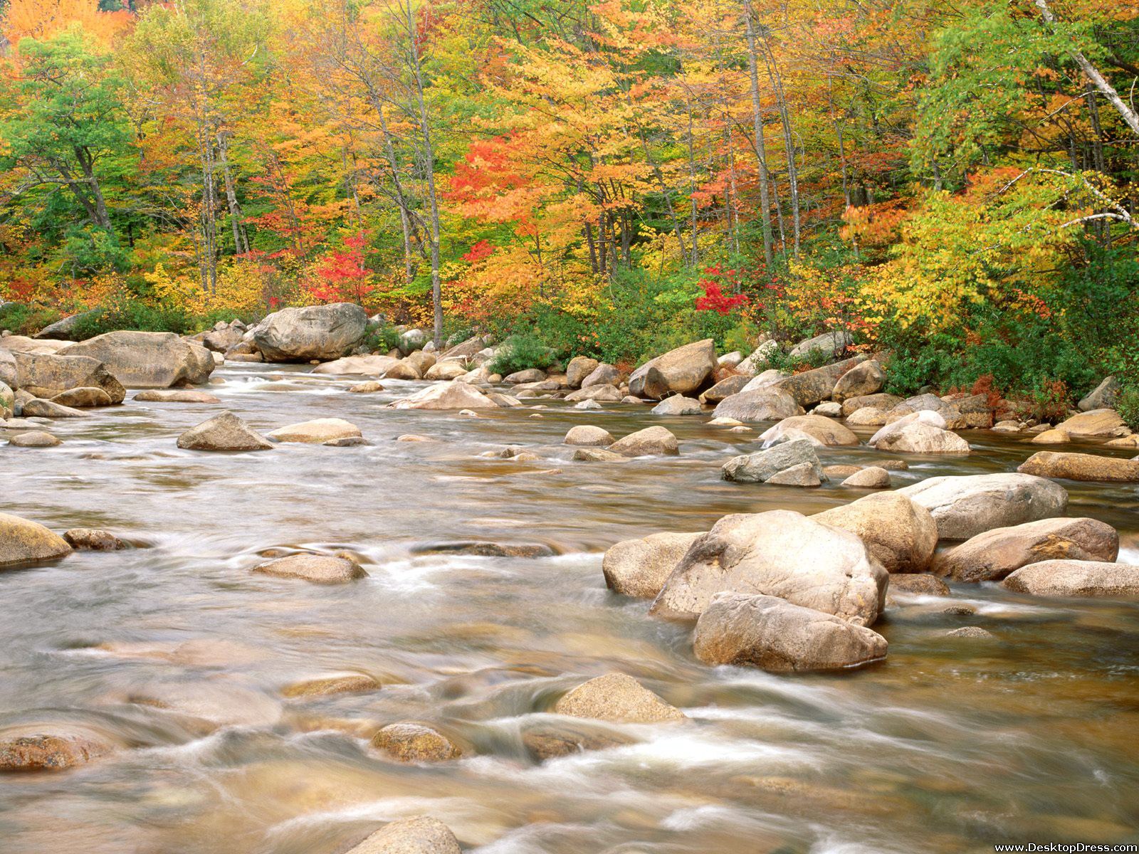 New Hampshire Wallpapers