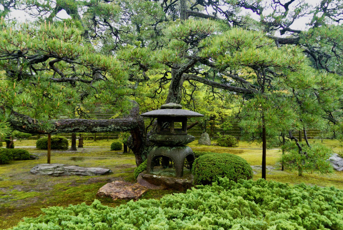 Nijo Castle Wallpapers