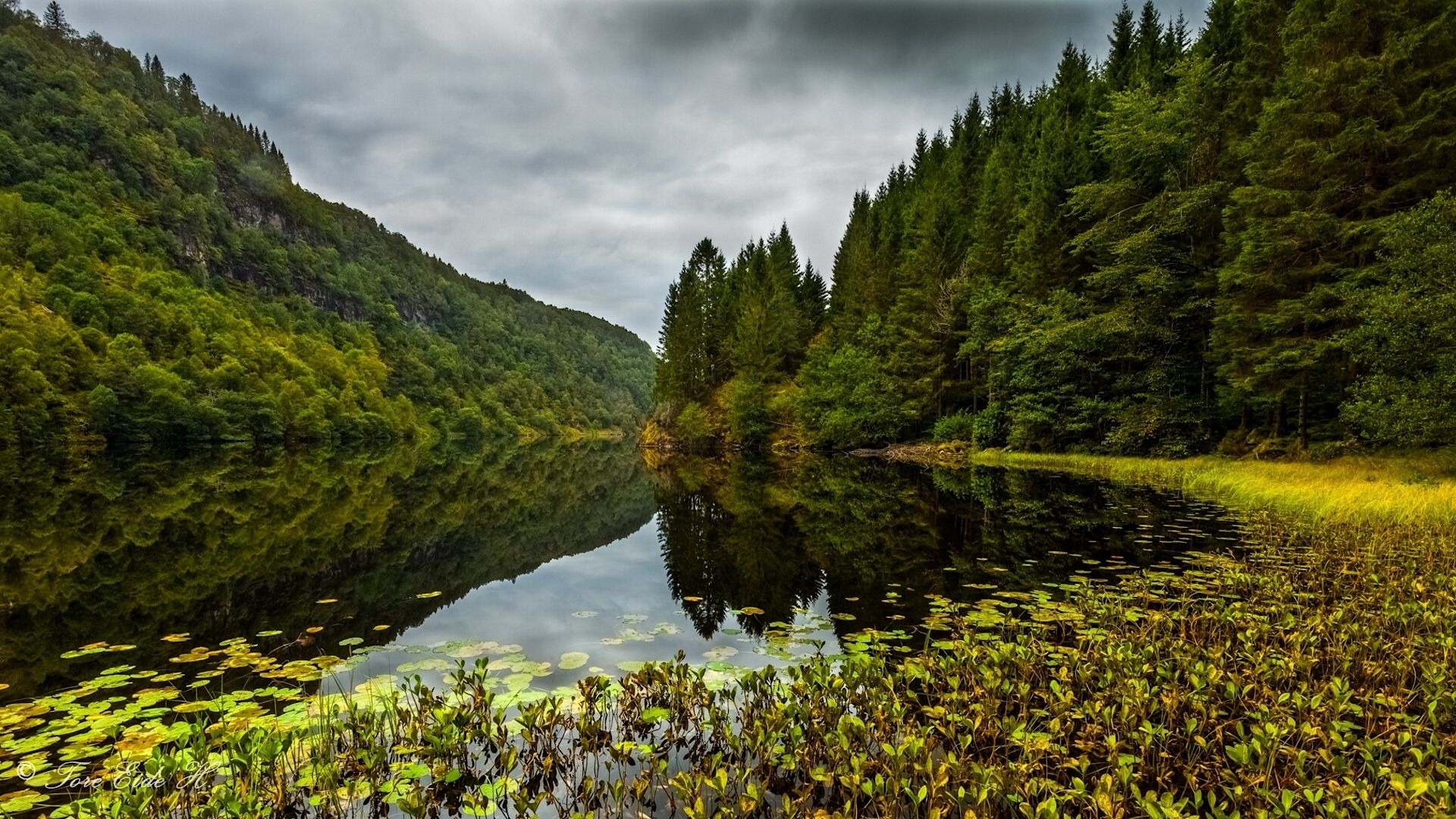 Norway Forest Reflection And Hills House Wallpapers