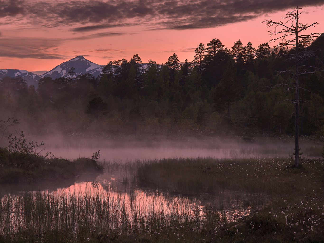 Norway Forest Reflection And Hills House Wallpapers