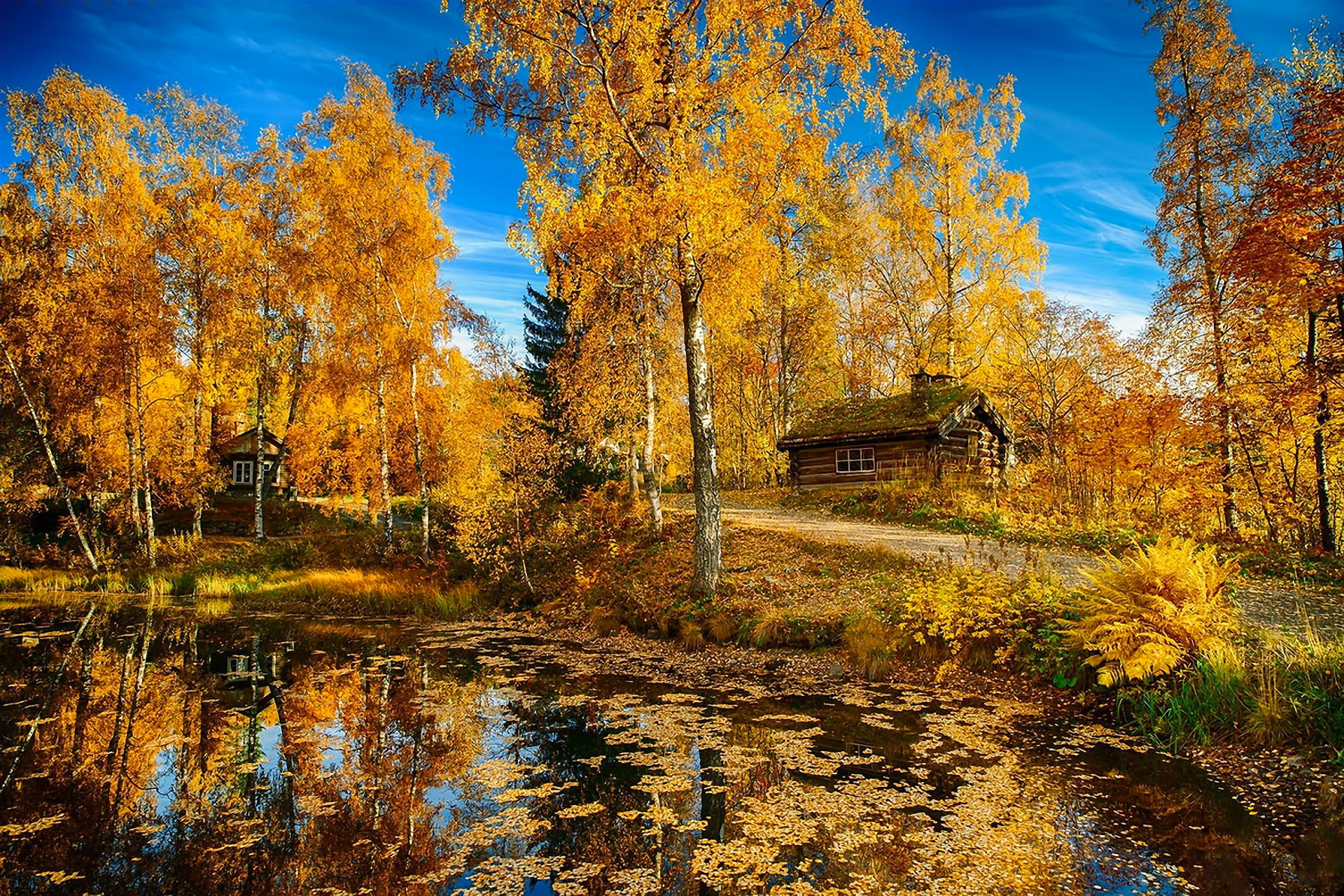 Norway Forest Reflection And Hills House Wallpapers