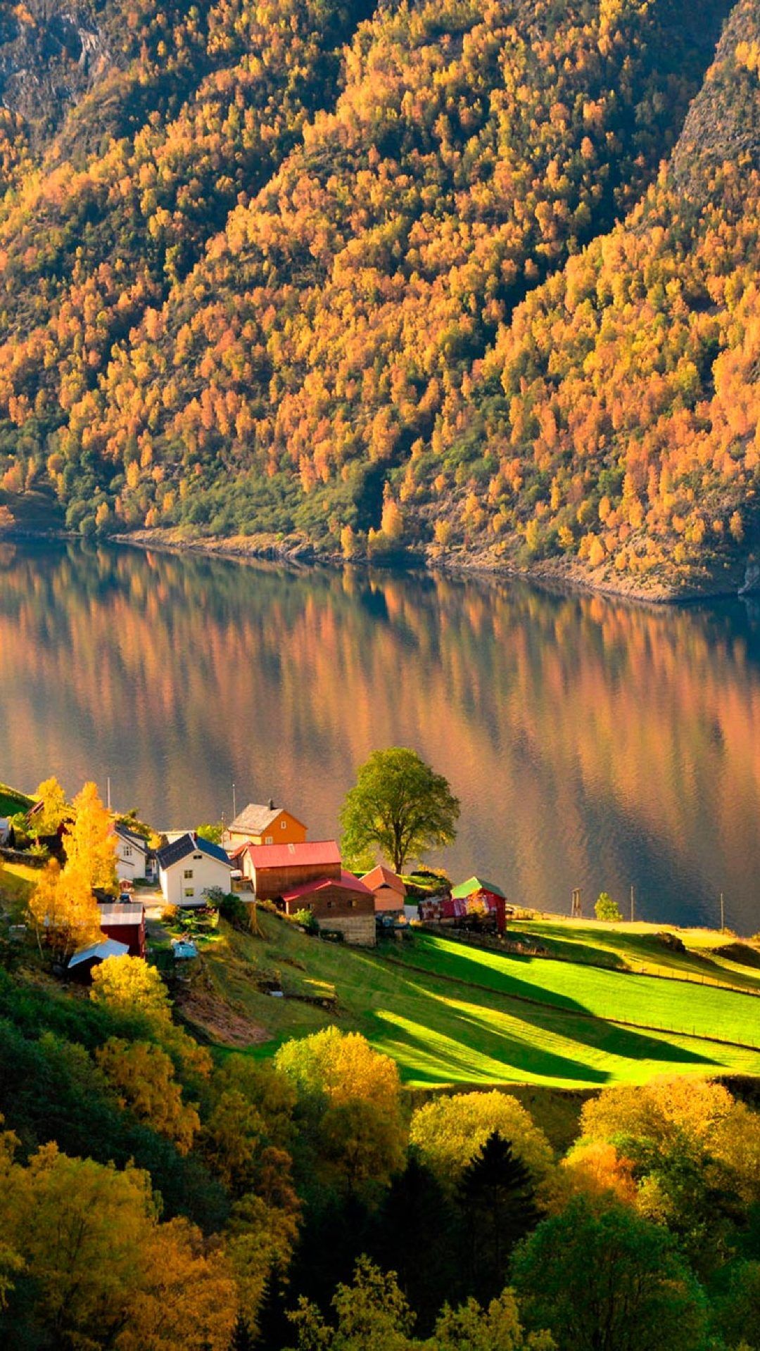 Norway Forest Reflection And Hills House Wallpapers