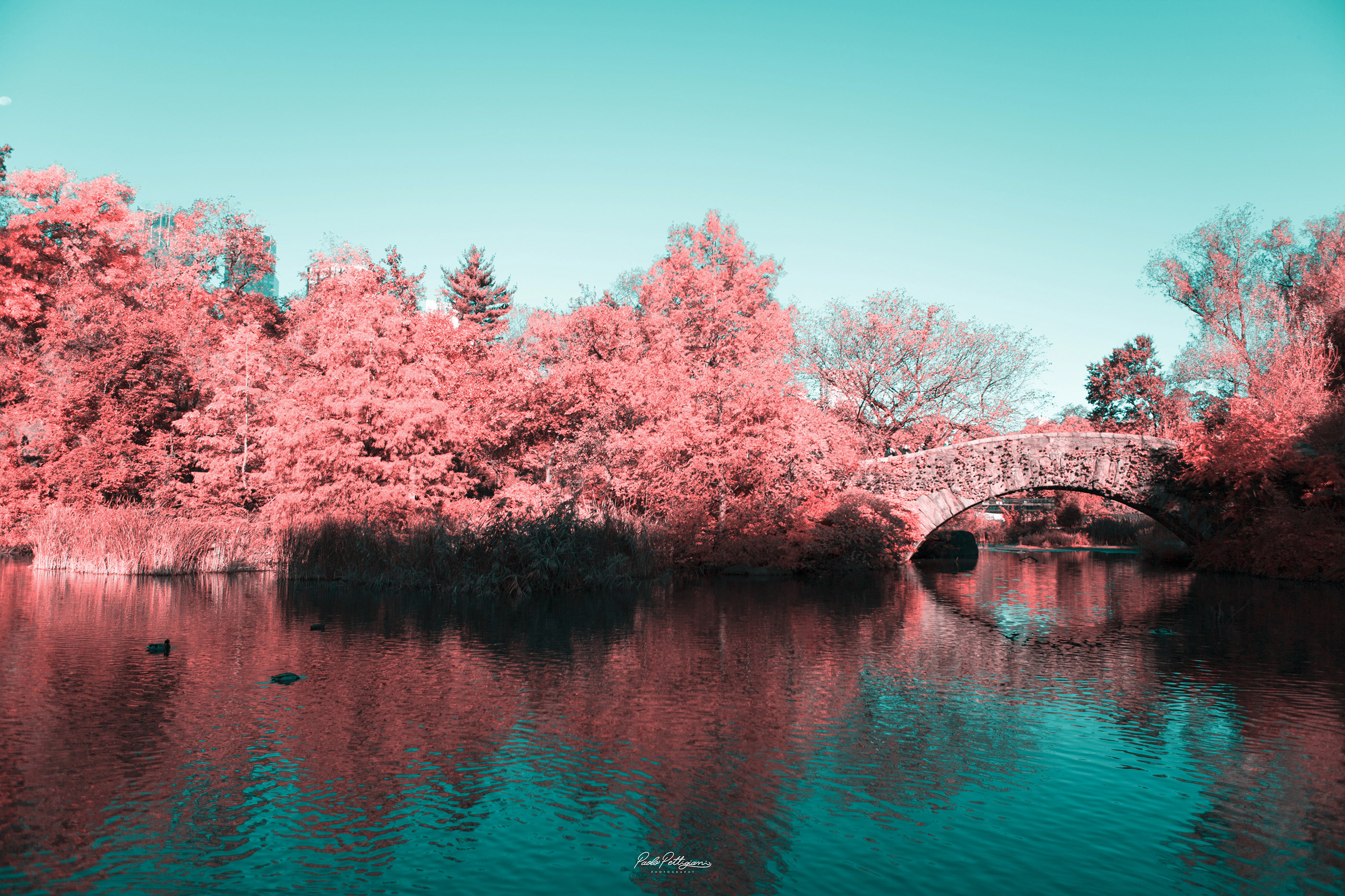 Nyc Central Park Infrared Wallpapers