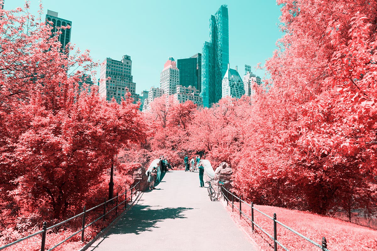 Nyc Central Park Infrared Wallpapers