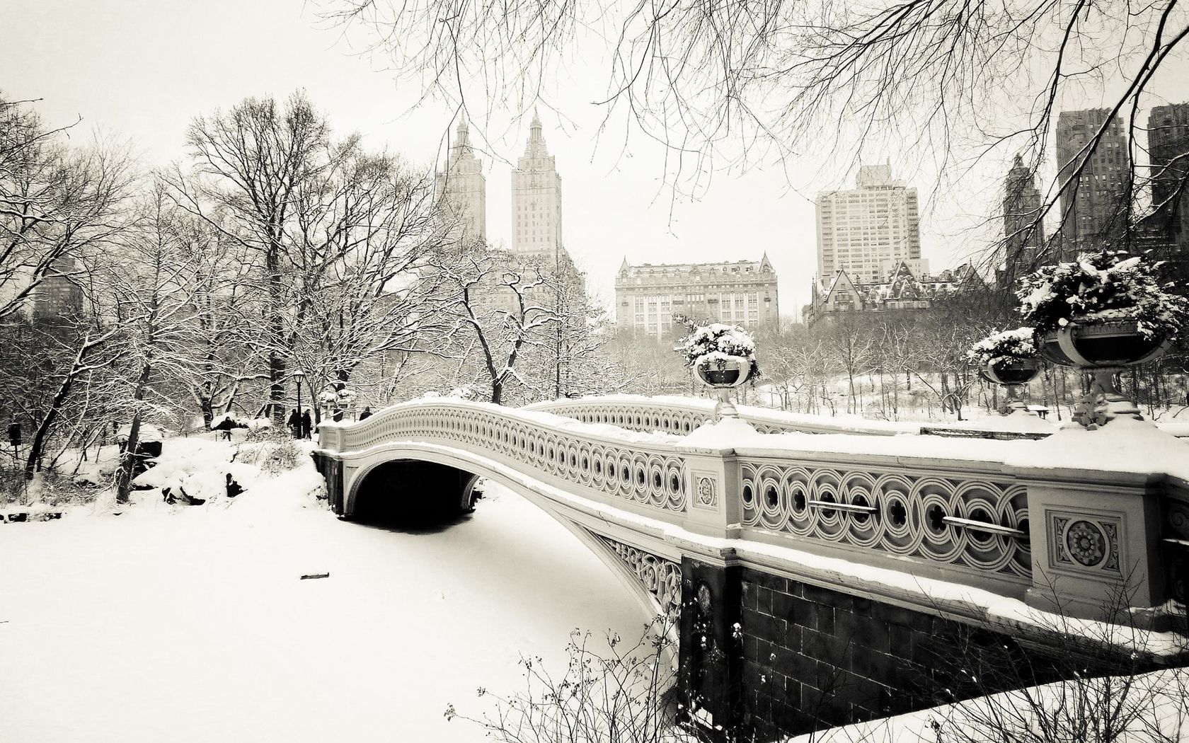 Nyc Central Park Infrared Wallpapers