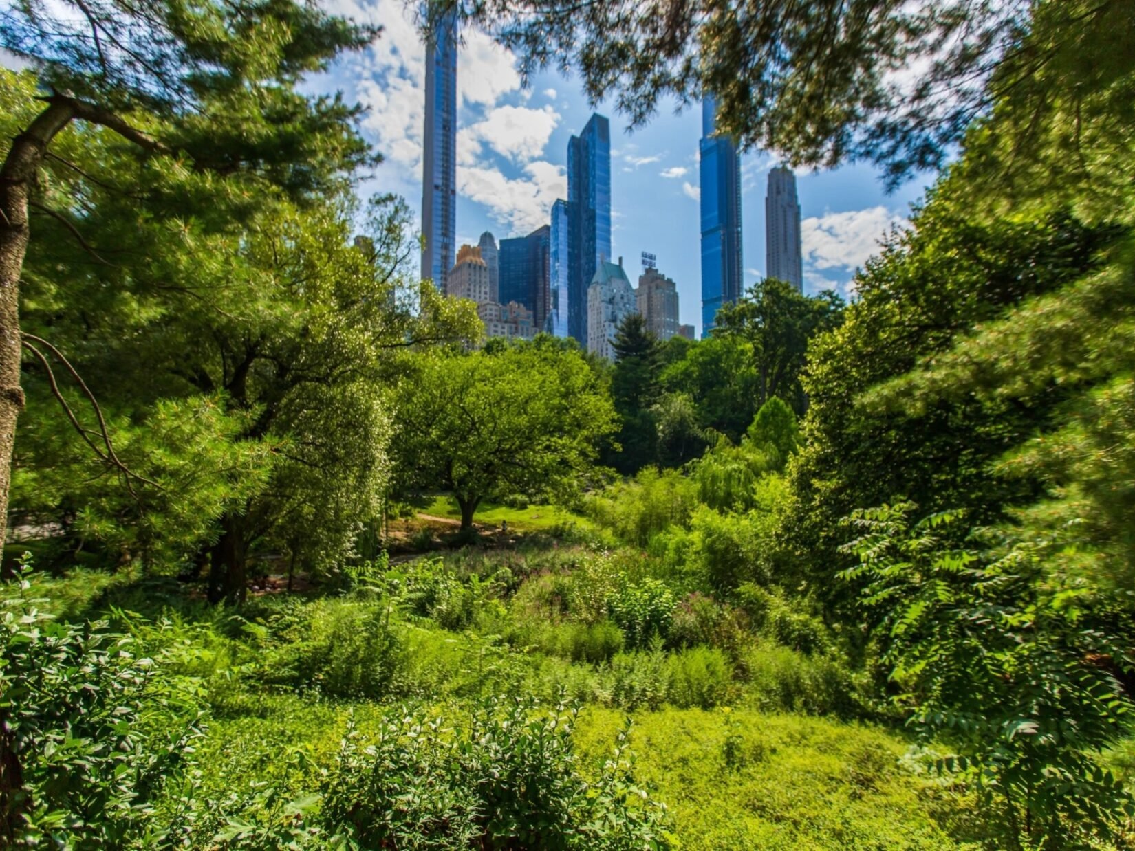 Nyc Central Park Infrared Wallpapers