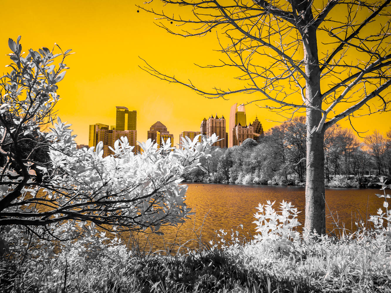 Nyc Central Park Infrared Wallpapers