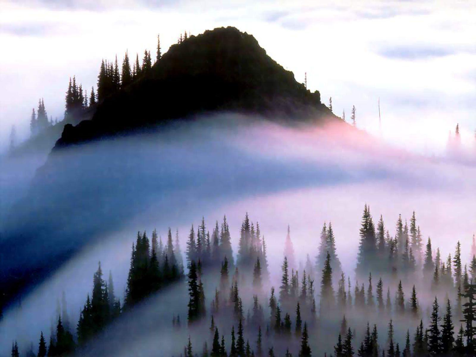 Olympic Mountains Night In Washington Wallpapers