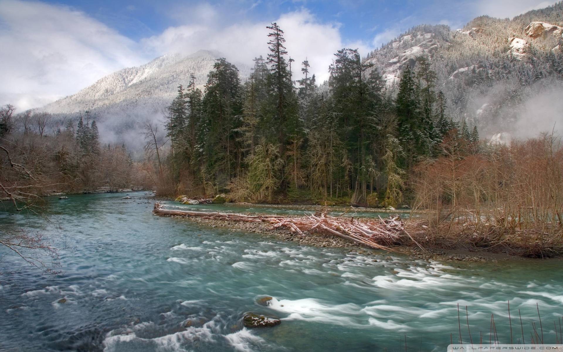 Olympic Mountains Night In Washington Wallpapers