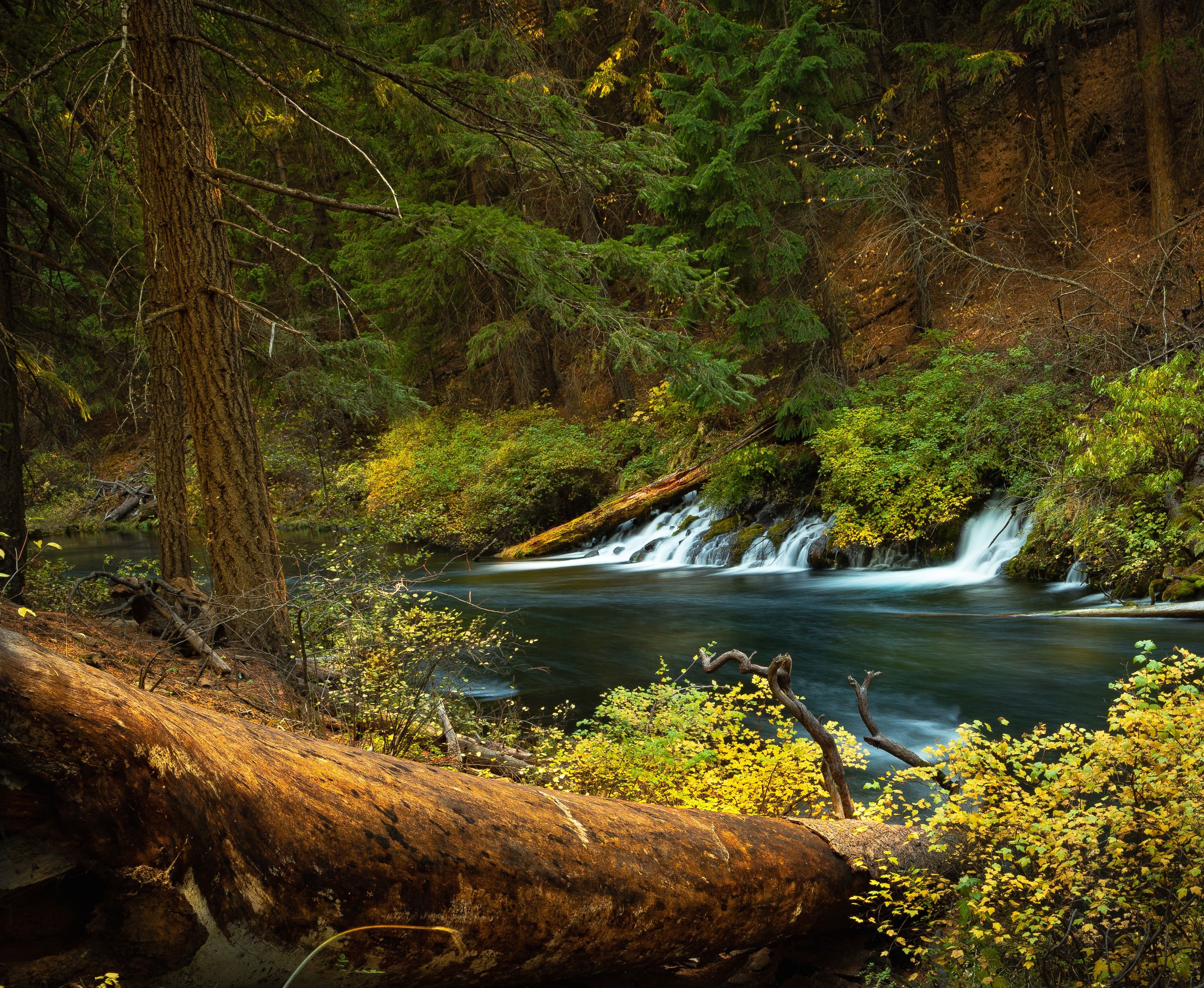 Oregon Wallpapers