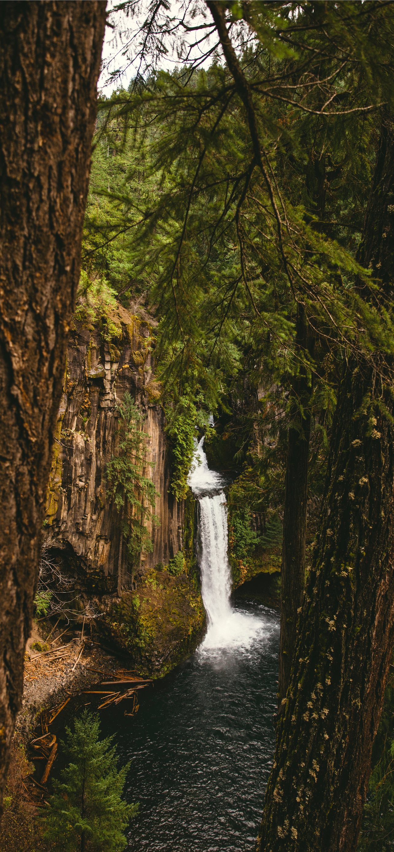 Oregon Wallpapers