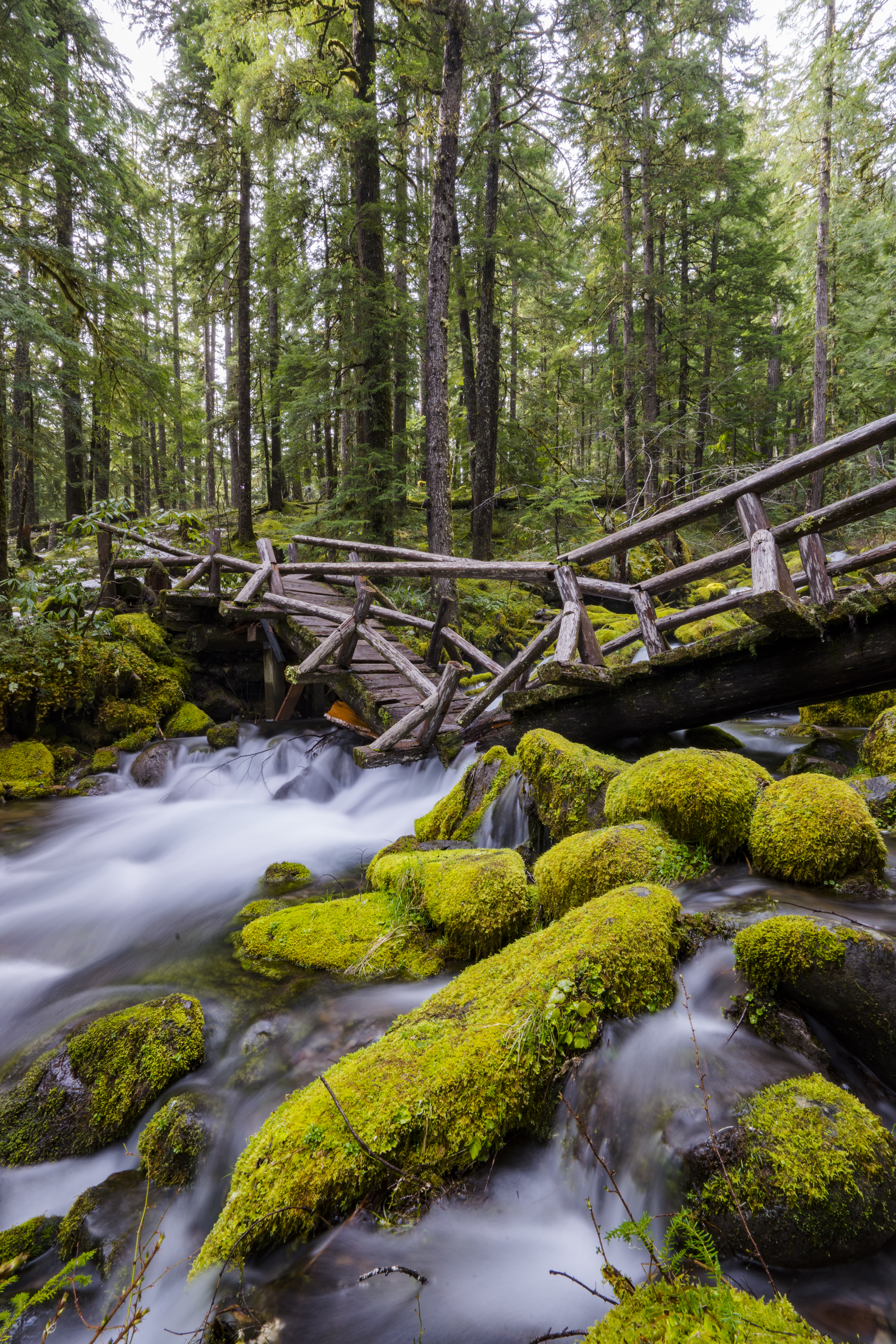 Oregon Wallpapers