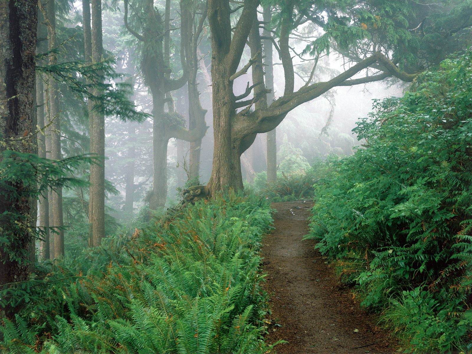 Oregon Desktop Wallpapers