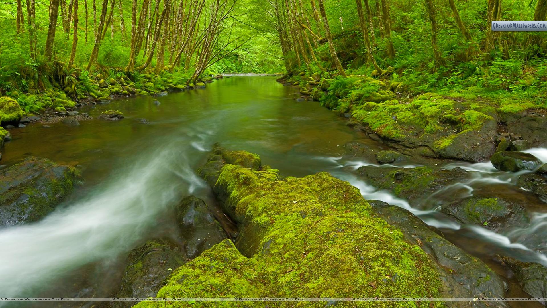 Oregon Desktop Wallpapers