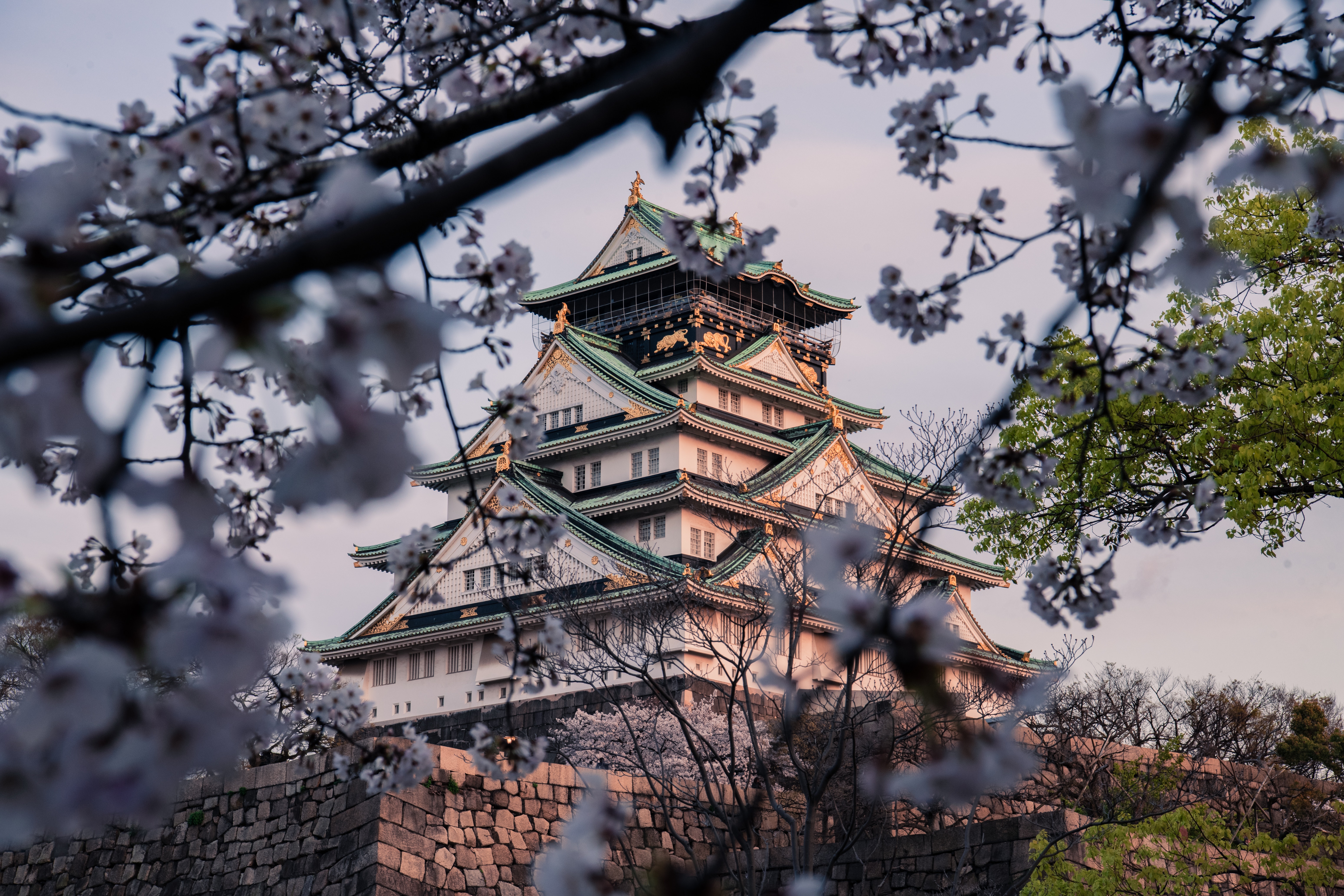 Osaka Castle Wallpapers