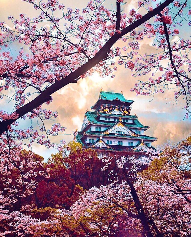 Osaka Castle Wallpapers